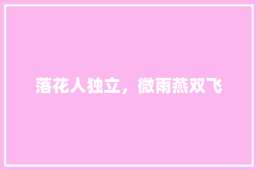 落花人独立，微雨燕双飞