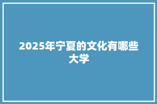 2025年宁夏的文化有哪些大学