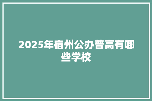 2025年宿州公办普高有哪些学校