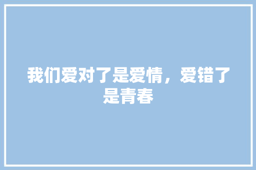 我们爱对了是爱情，爱错了是青春 工作报告