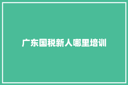 广东国税新人哪里培训