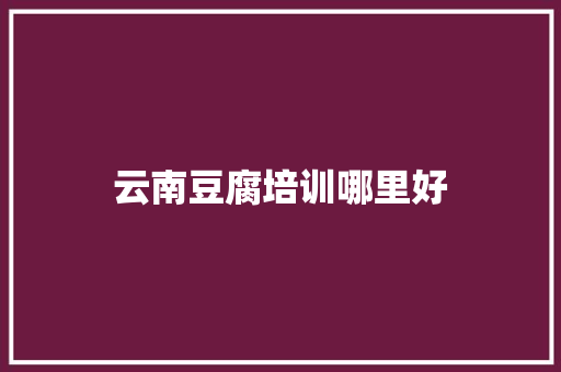 云南豆腐培训哪里好