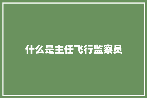 什么是主任飞行监察员
