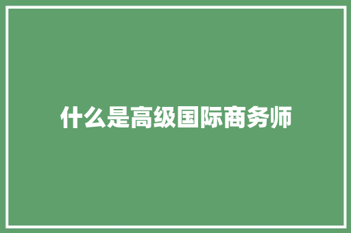 什么是高级国际商务师
