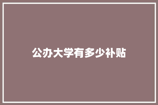 公办大学有多少补贴