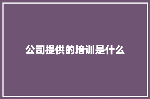 公司提供的培训是什么