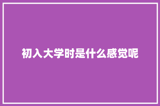 初入大学时是什么感觉呢