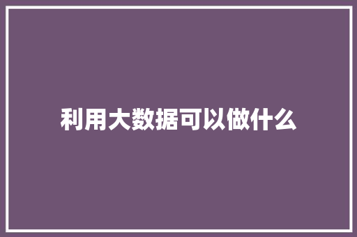 利用大数据可以做什么