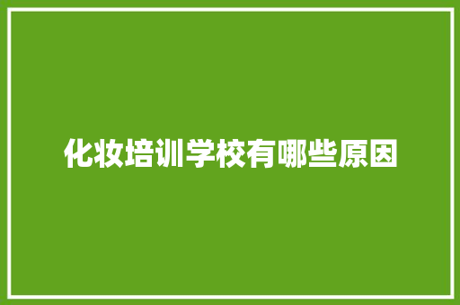 化妆培训学校有哪些原因 校园演讲