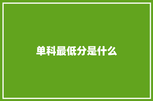 单科最低分是什么 工作总结
