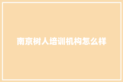 南京树人培训机构怎么样