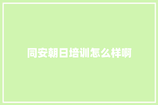 同安朝日培训怎么样啊