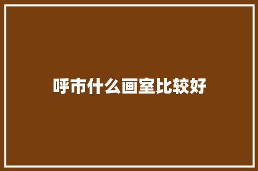 呼市什么画室比较好