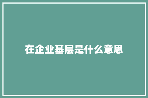 在企业基层是什么意思