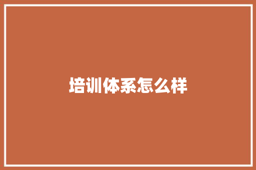 培训体系怎么样