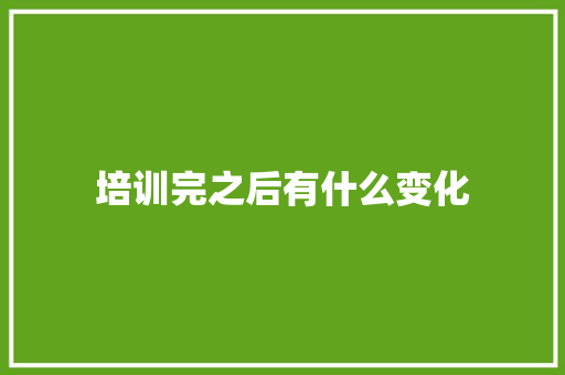 培训完之后有什么变化