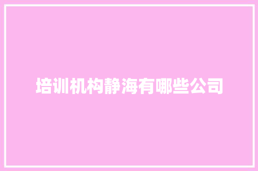 培训机构静海有哪些公司