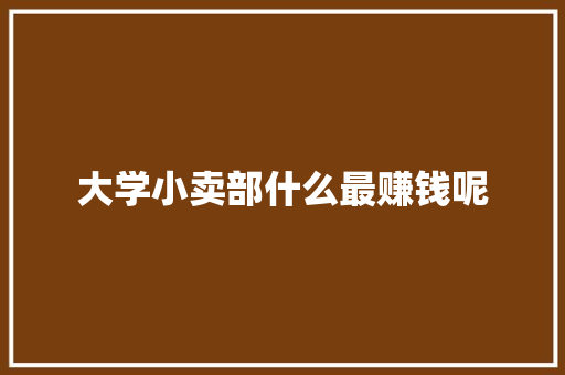 大学小卖部什么最赚钱呢