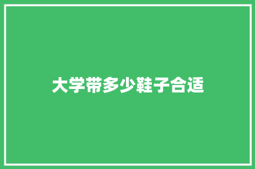 大学带多少鞋子合适