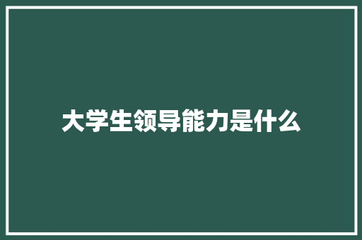 大学生领导能力是什么