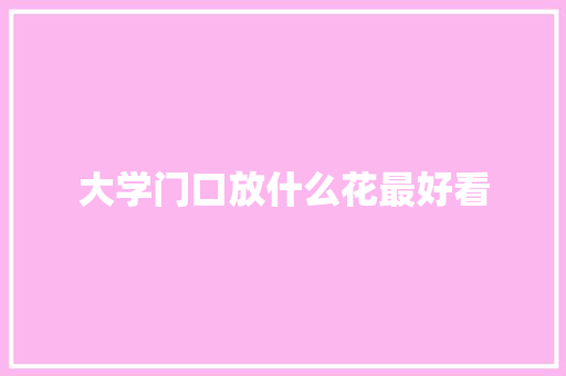 大学门口放什么花最好看