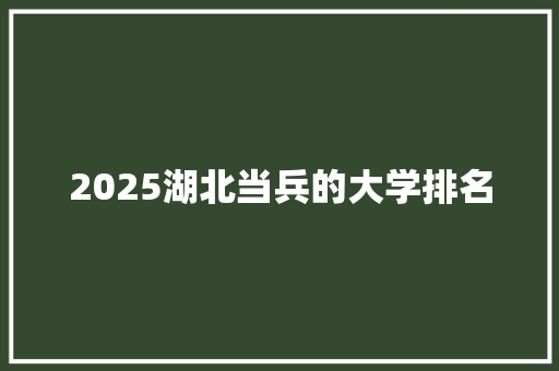 2025湖北当兵的大学排名