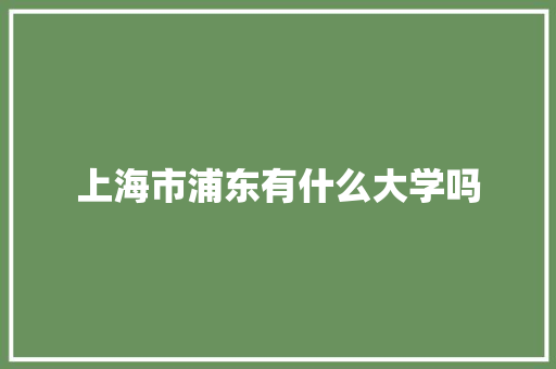 上海市浦东有什么大学吗