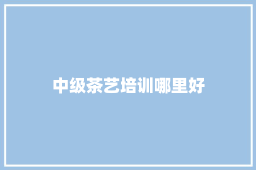 中级茶艺培训哪里好
