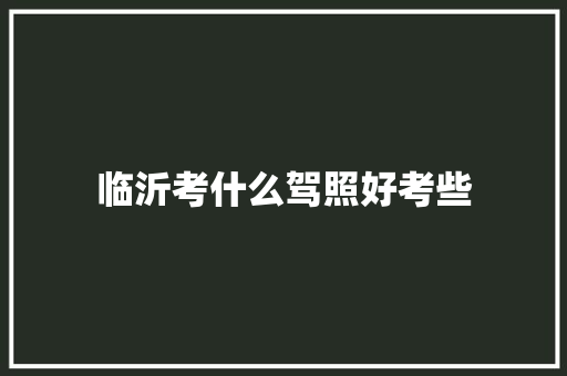 临沂考什么驾照好考些