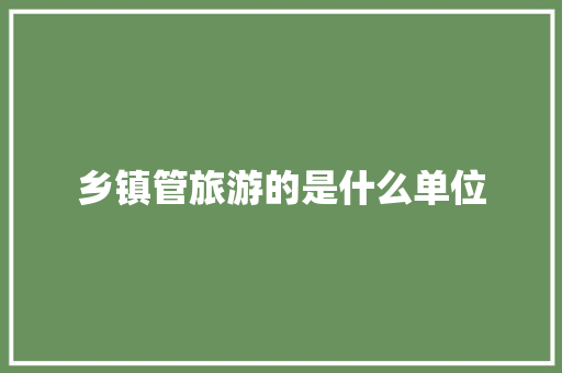 乡镇管旅游的是什么单位