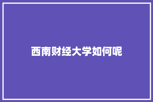 西南财经大学如何呢
