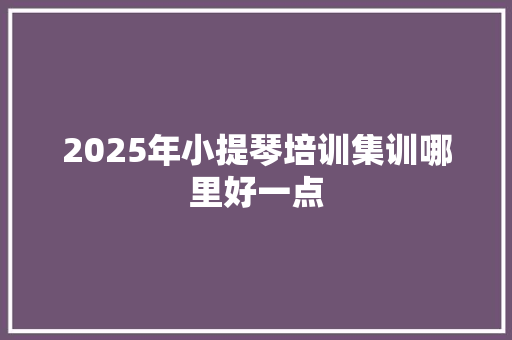 2025年小提琴培训集训哪里好一点
