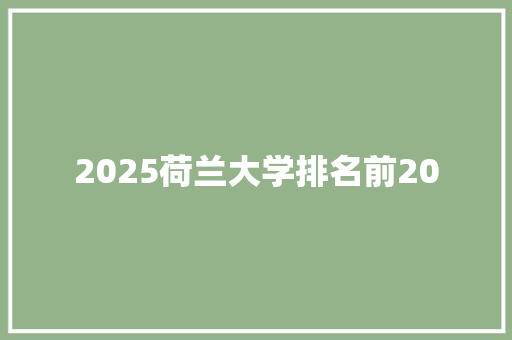 2025荷兰大学排名前20