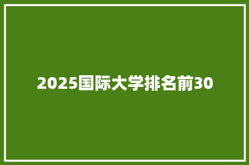 2025国际大学排名前30