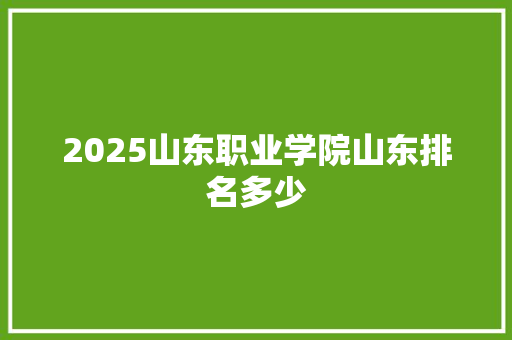 2025山东职业学院山东排名多少