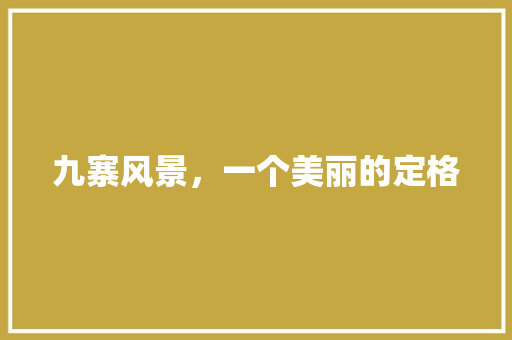 九寨风景，一个美丽的定格 工作总结