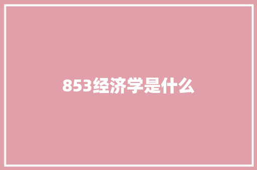 853经济学是什么