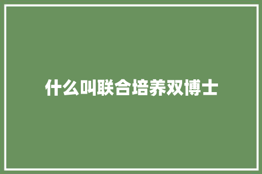 什么叫联合培养双博士