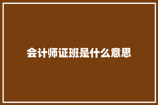 会计师证班是什么意思