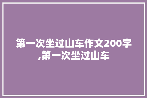第一次坐过山车作文200字,第一次坐过山车