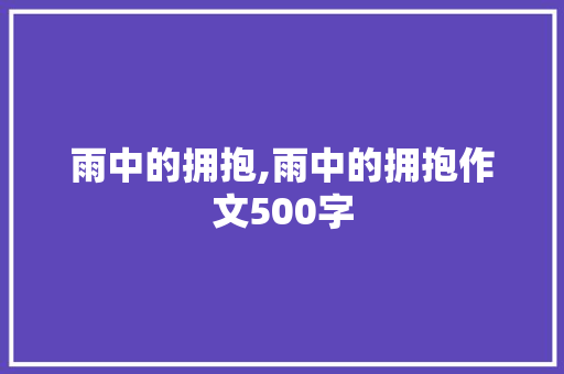 雨中的拥抱,雨中的拥抱作文500字