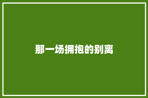 那一场拥抱的别离 简历模板