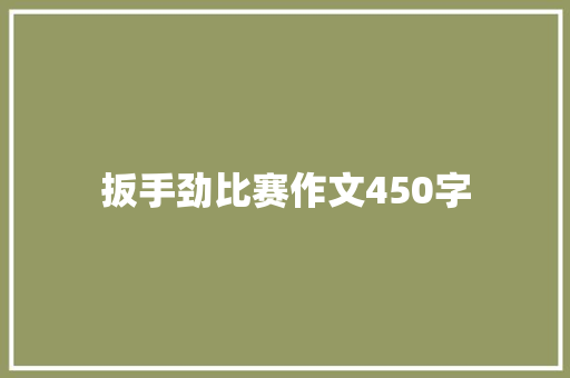 扳手劲比赛作文450字