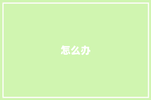 怎么办