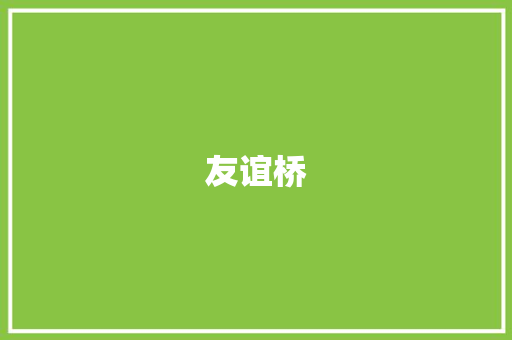 友谊桥 工作报告