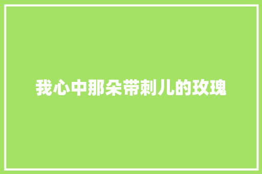 我心中那朵带刺儿的玫瑰