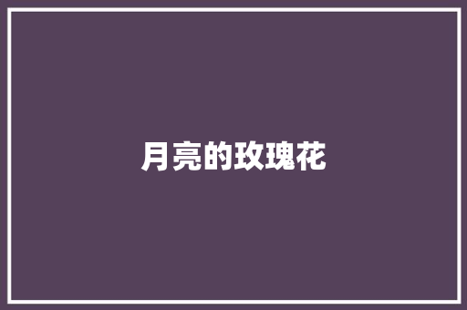 月亮的玫瑰花