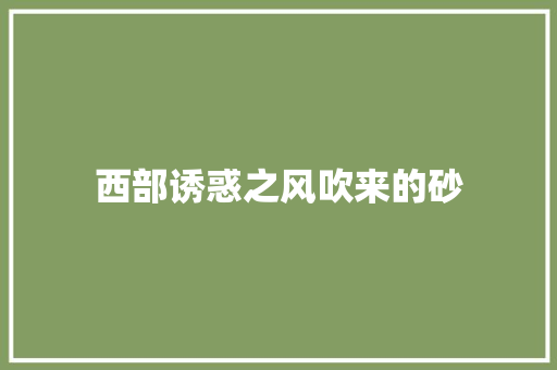 西部诱惑之风吹来的砂