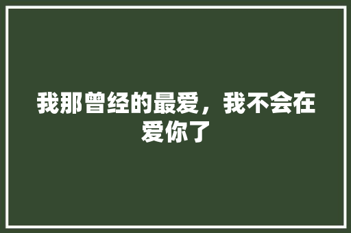 我那曾经的最爱，我不会在爱你了 演讲稿