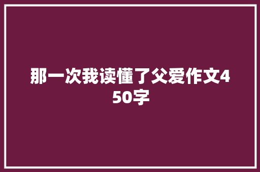 那一次我读懂了父爱作文450字